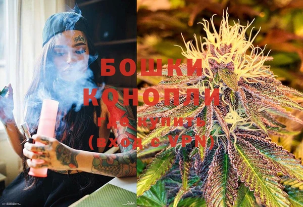 PSILOCYBIN Алзамай