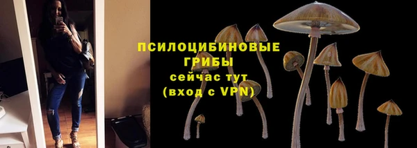 PSILOCYBIN Алзамай