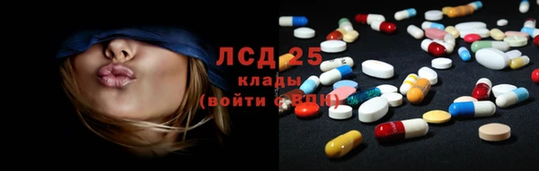 PSILOCYBIN Алзамай