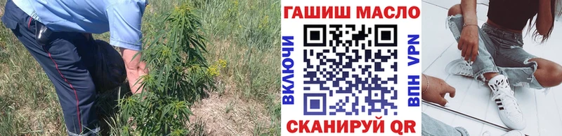 Дистиллят ТГК Wax  Сольвычегодск 