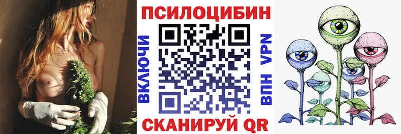 Галлюциногенные грибы Magic Shrooms  нарко площадка телеграм  Сольвычегодск 